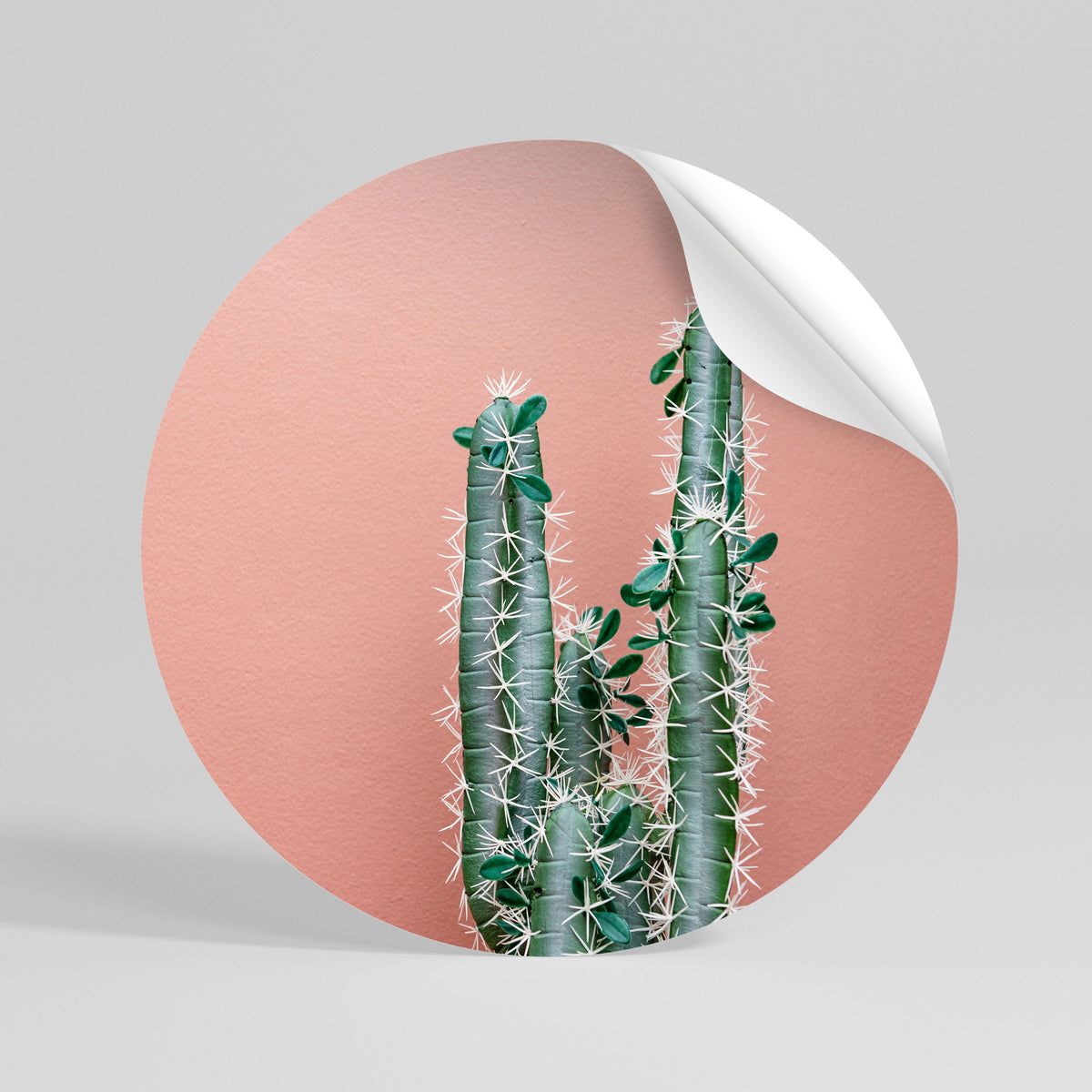 LORD CACTUS Peel and Stick Round Sticker