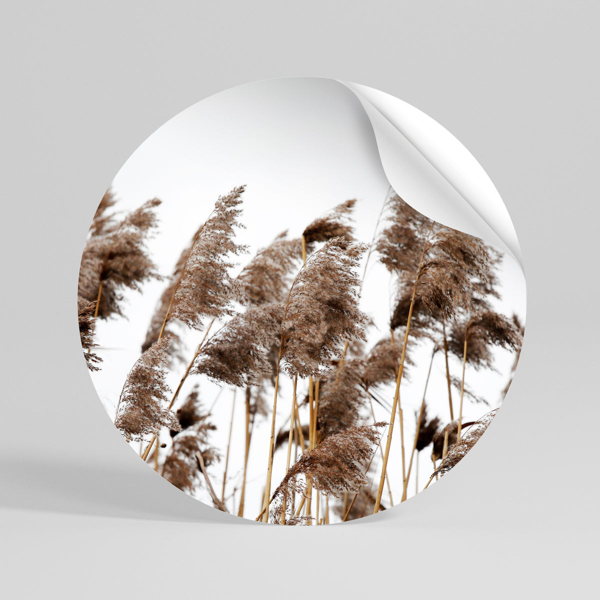 DANCE OF REEDS Αυτοκόλλητη Αφίσα στρογγυλή