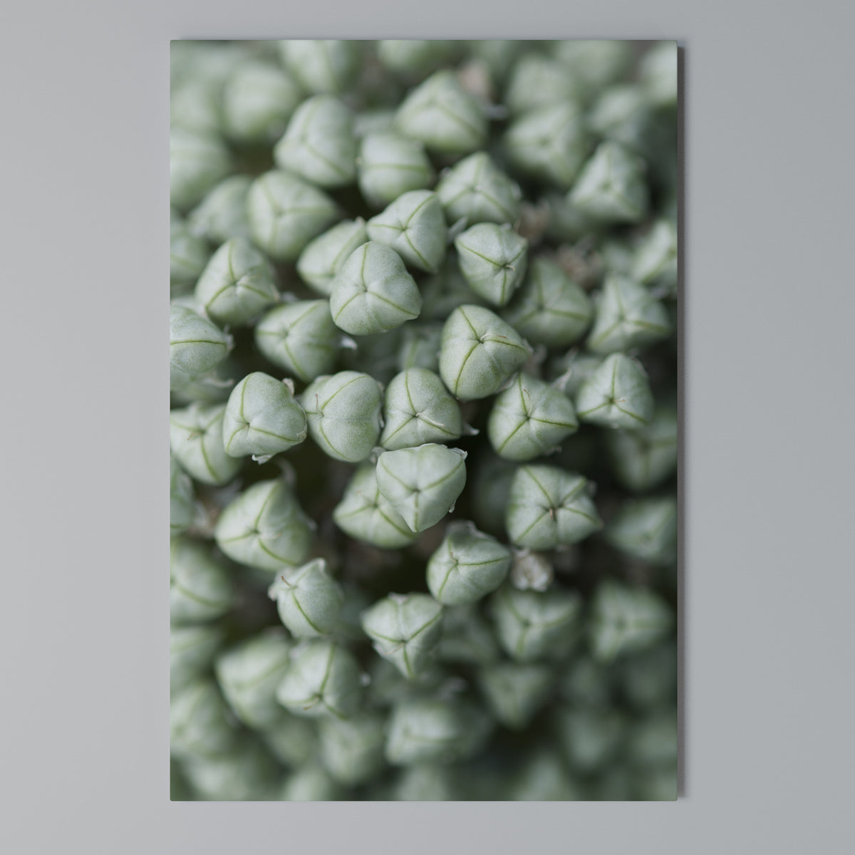 TEXTURED GREEN TIDBITS Κατακόρυφος Πίνακας σε Καμβά