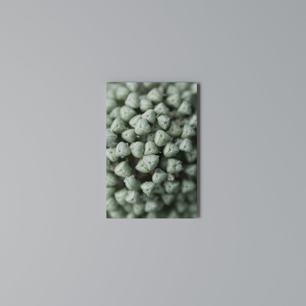 TEXTURED GREEN TIDBITS Κατακόρυφος Πίνακας σε Καμβά