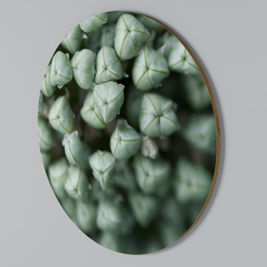 TEXTURED GREEN TIDBITS Στρογγυλός πίνακας ζωγραφικής