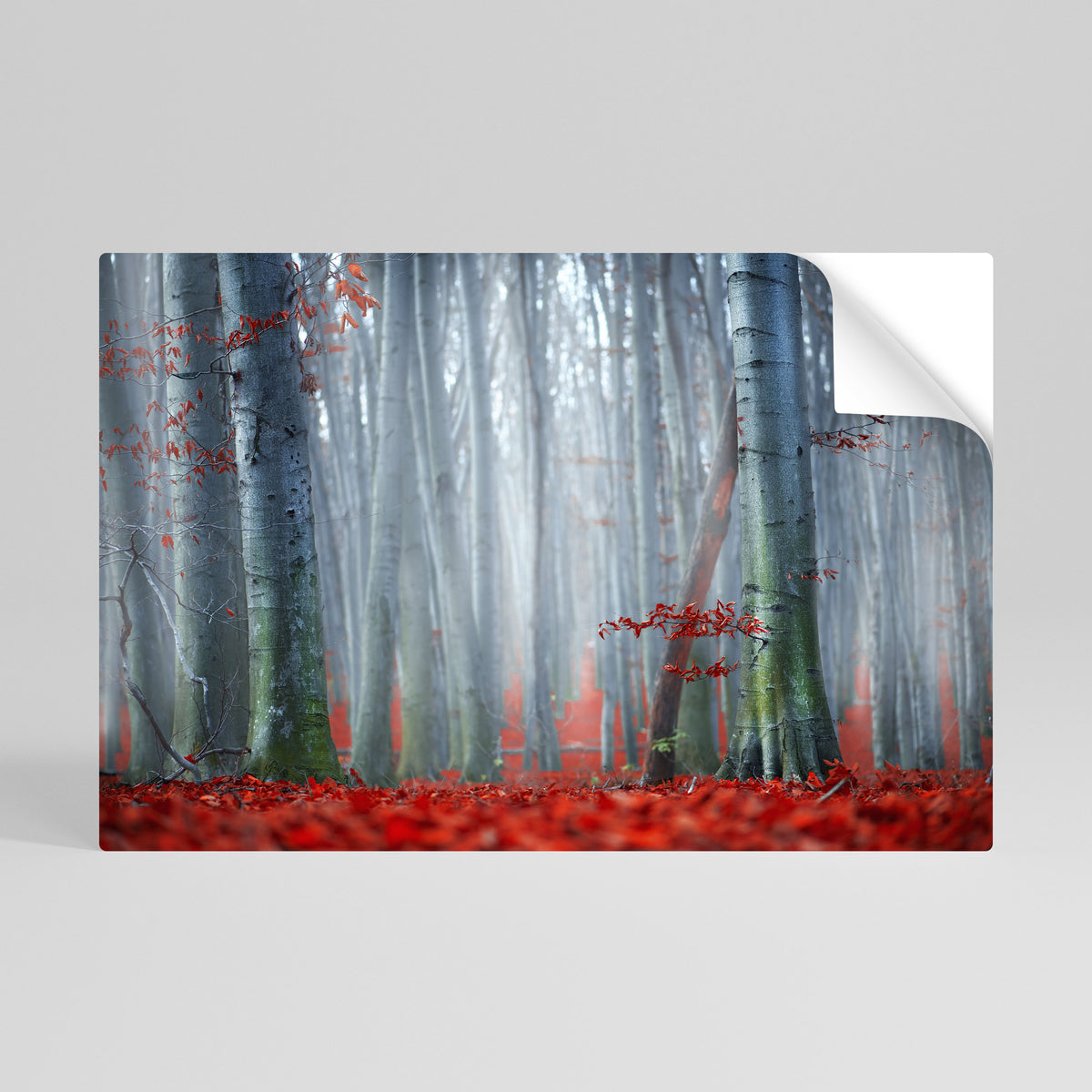 TRANQUIL RED ELEGANCE Αυτοκόλλητη Αφίσα οριζόντια