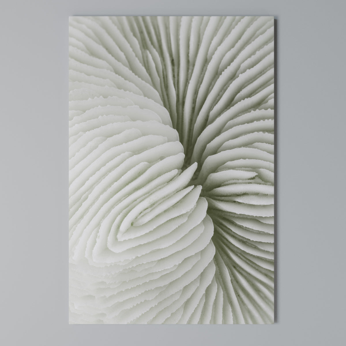 NATURE'S SYMMETRY Κατακόρυφος Πίνακας σε Καμβά