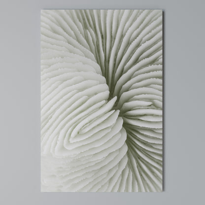 NATURE'S SYMMETRY Κατακόρυφος Πίνακας σε Καμβά