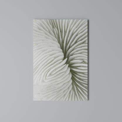 NATURE'S SYMMETRY Κατακόρυφος Πίνακας σε Καμβά
