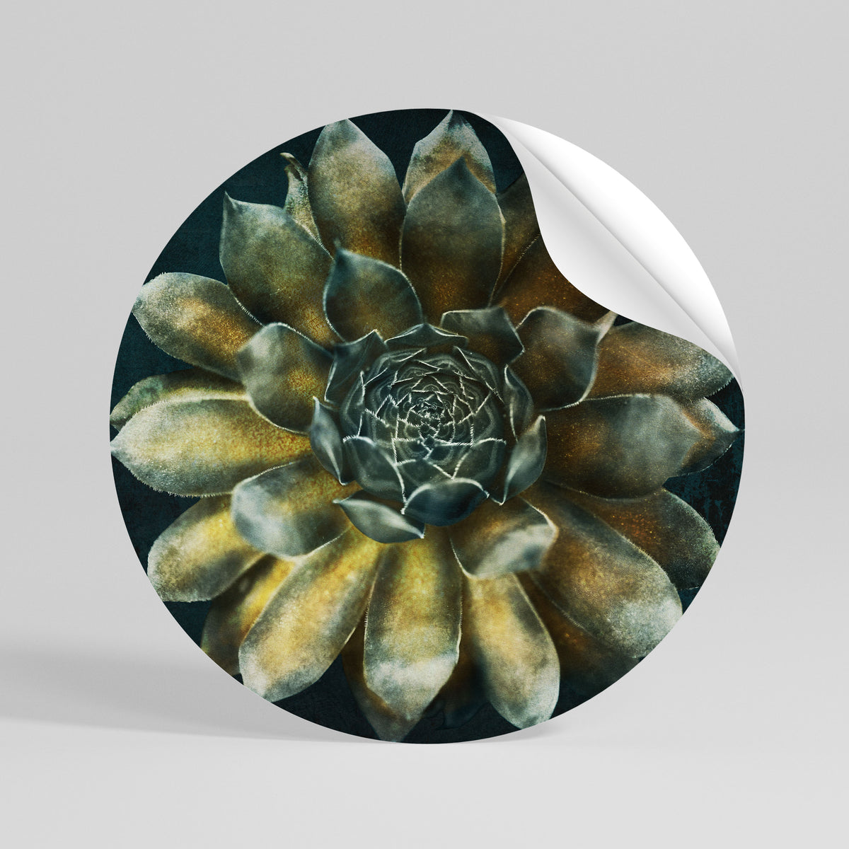 MYSTICAL SUCCULENT WHIRL Αυτοκόλλητη Αφίσα στρογγυλή