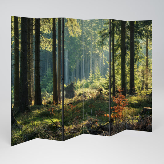 SUNLIT FOREST SERENADE Παραβάν με 6 πάνελ
