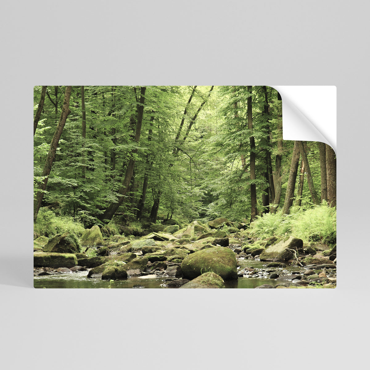 TRANQUIL STONES AND STREAMS Αυτοκόλλητη Αφίσα οριζόντια