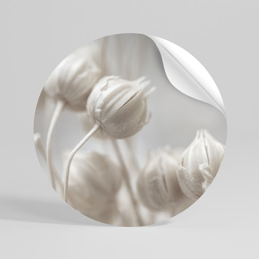 MYSTICAL BOTANICAL BLUSH Αυτοκόλλητη Αφίσα στρογγυλή