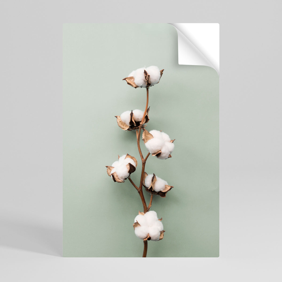 COTTON DREAMS UNFOLDED Αυτοκόλλητη Αφίσα κάθετη