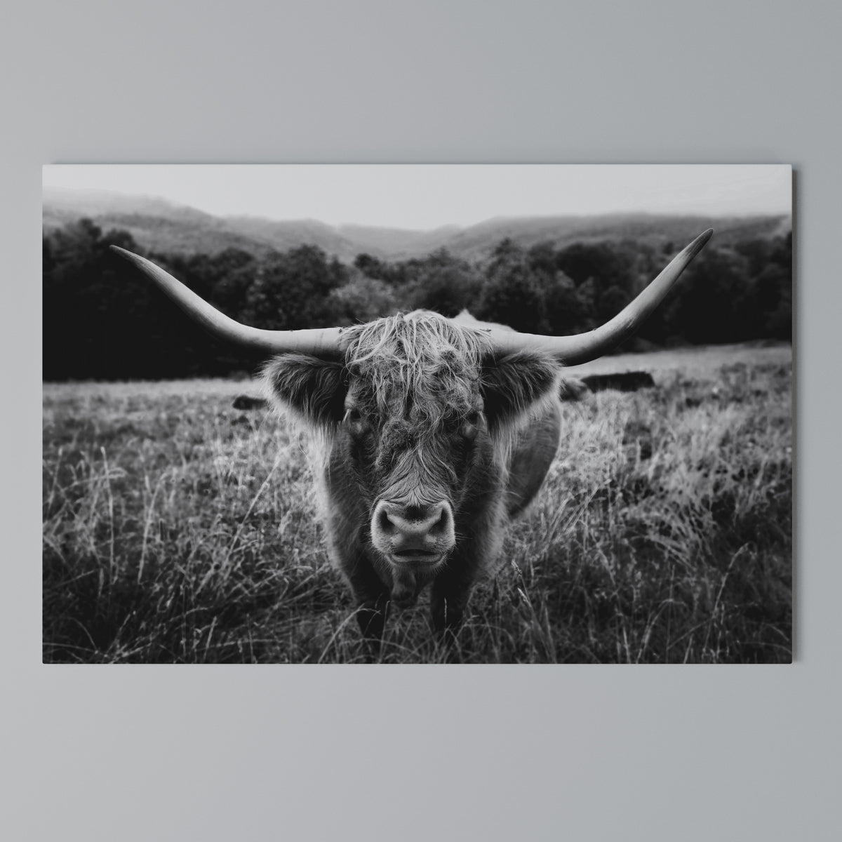 HORNED HERO IN FOCUS Horizontal Canvas Print